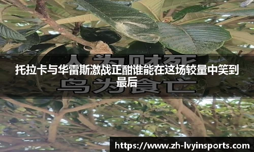 托拉卡与华雷斯激战正酣谁能在这场较量中笑到最后